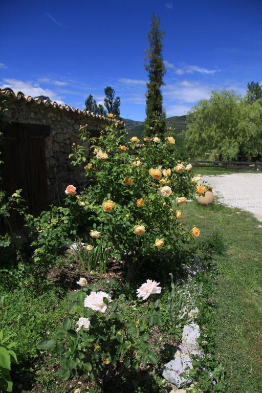 Hotel Les Hauts De L'Escoulaou Castellane Zimmer foto